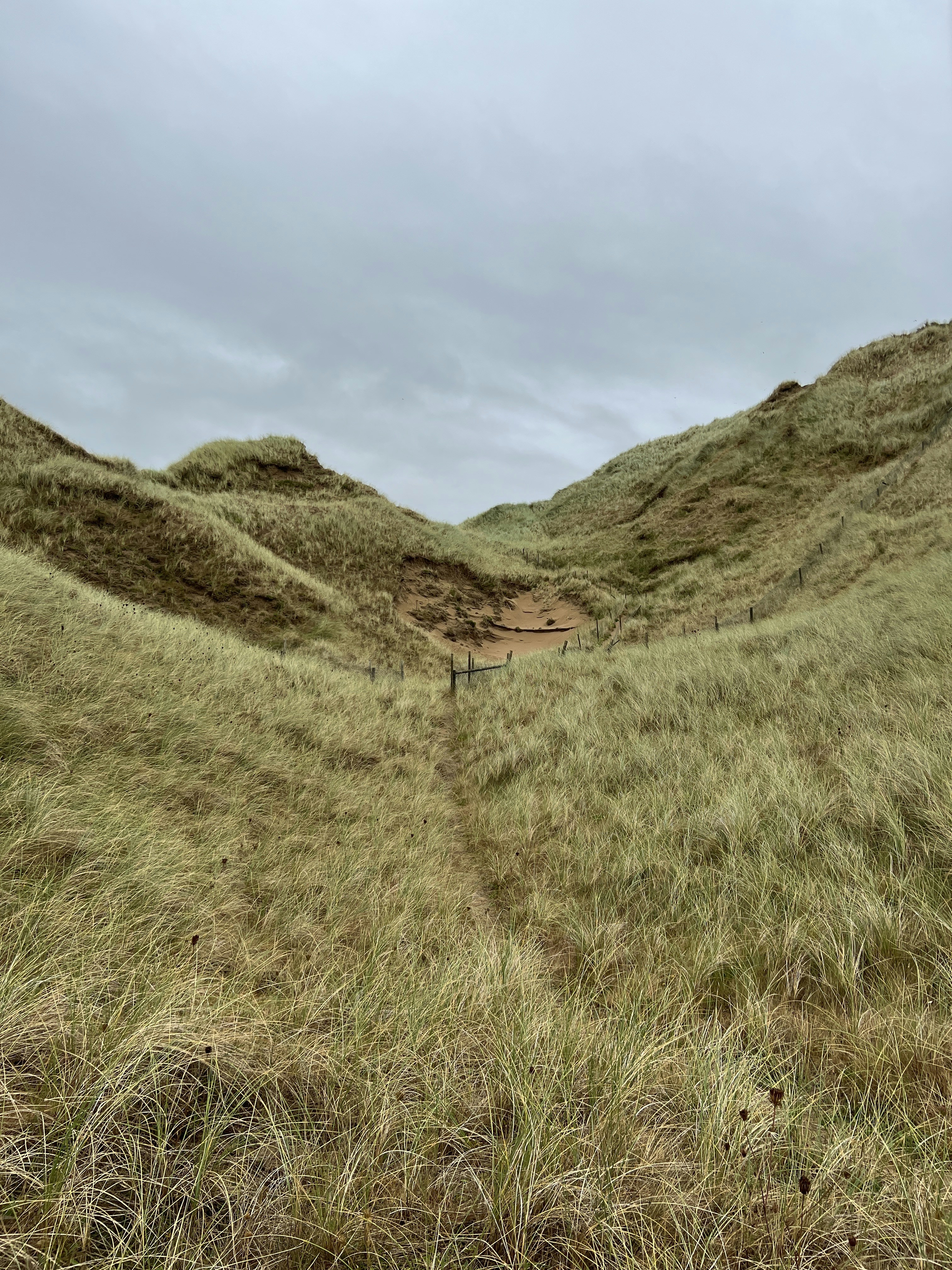 uma colina gramada com uma trilha passando por ela