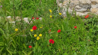 A colorful floral installation surrounded by lush green hills during Pooppoli festival in Wayanad.