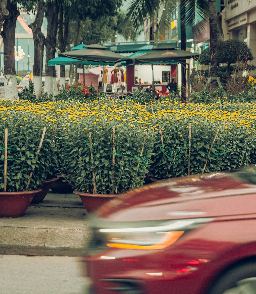 a red car driving down a street next to a flower bed