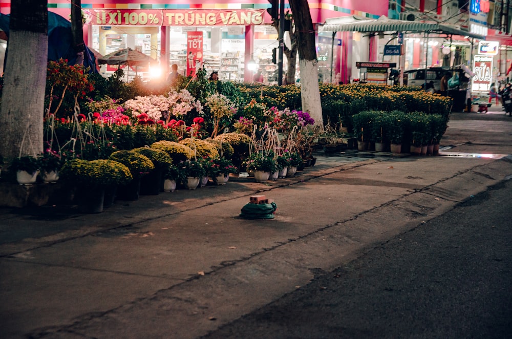 a row of potted plants in front of a flower shop