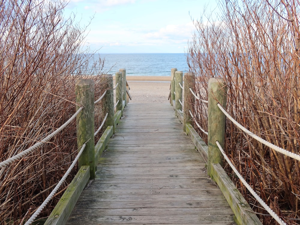 a wooden walkway leads to the beach