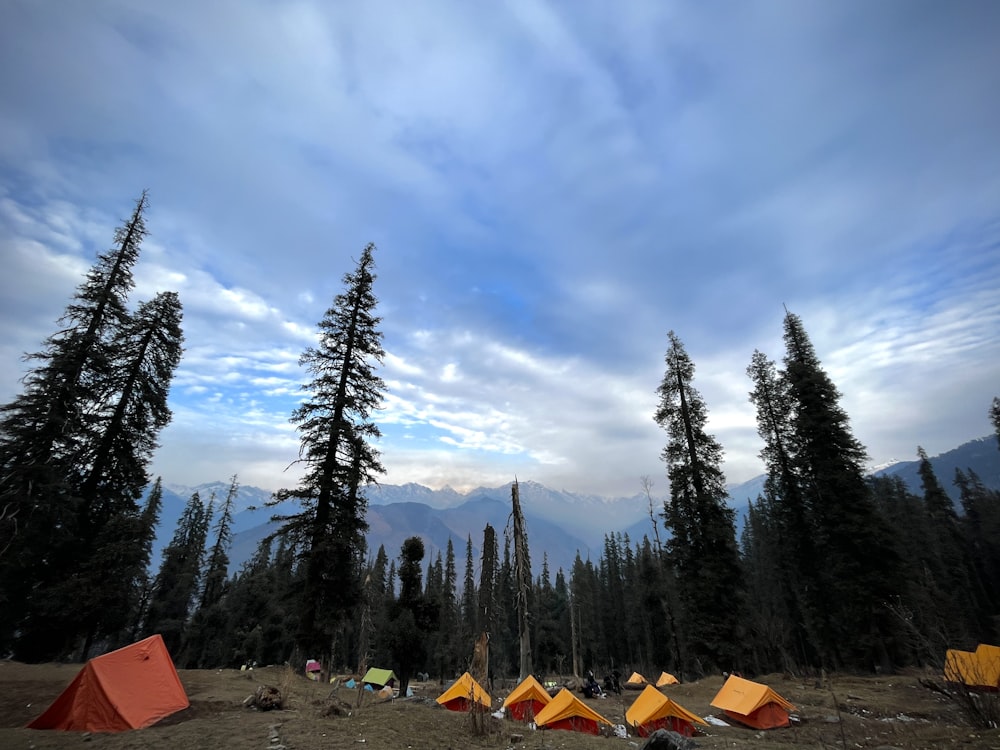 a group of tents set up in the middle of a forest