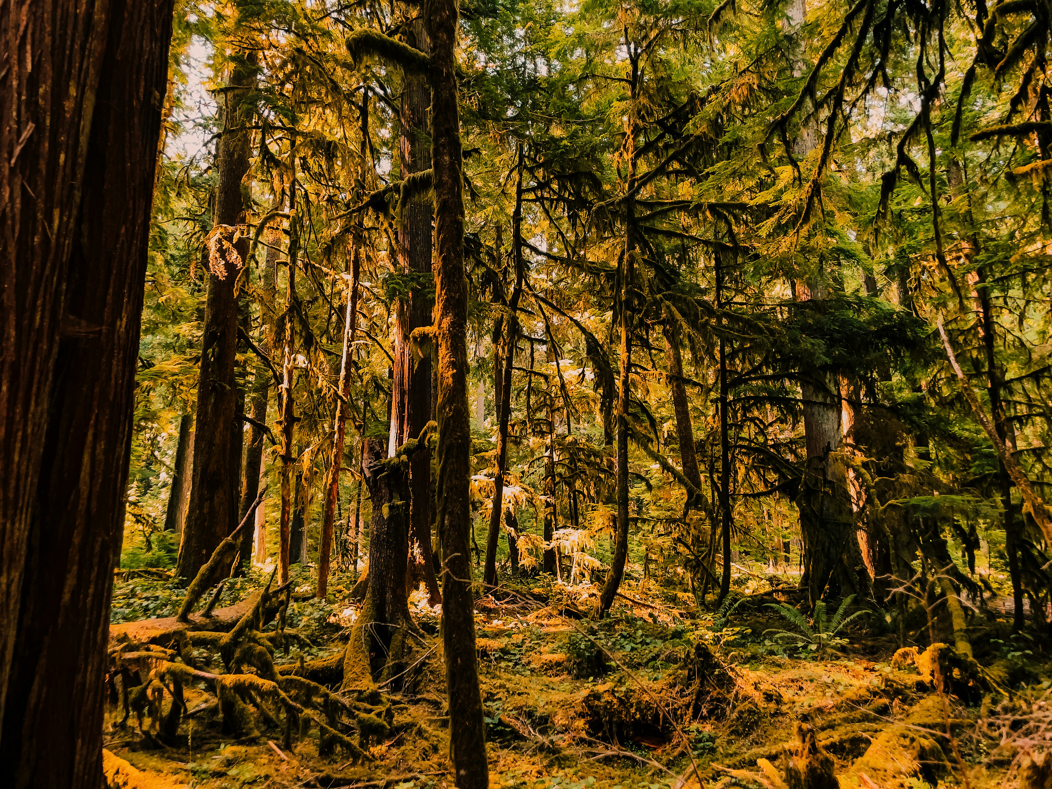 Photo by ninaleephoto