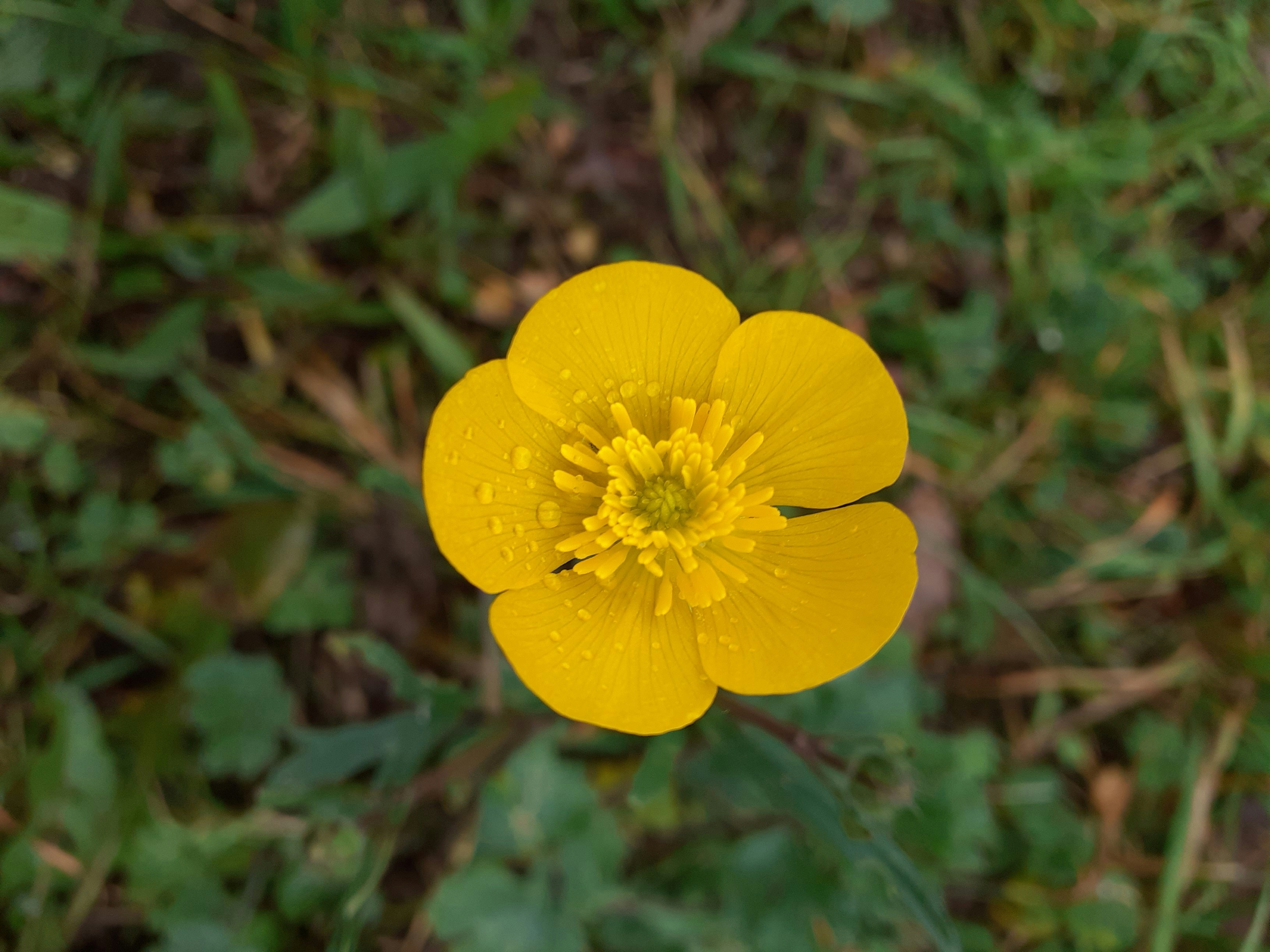 Photo by elisa_scapin