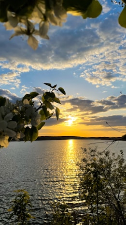 Sunset view over Lake Chapala seen from a hotel balcony with colorful flowers.