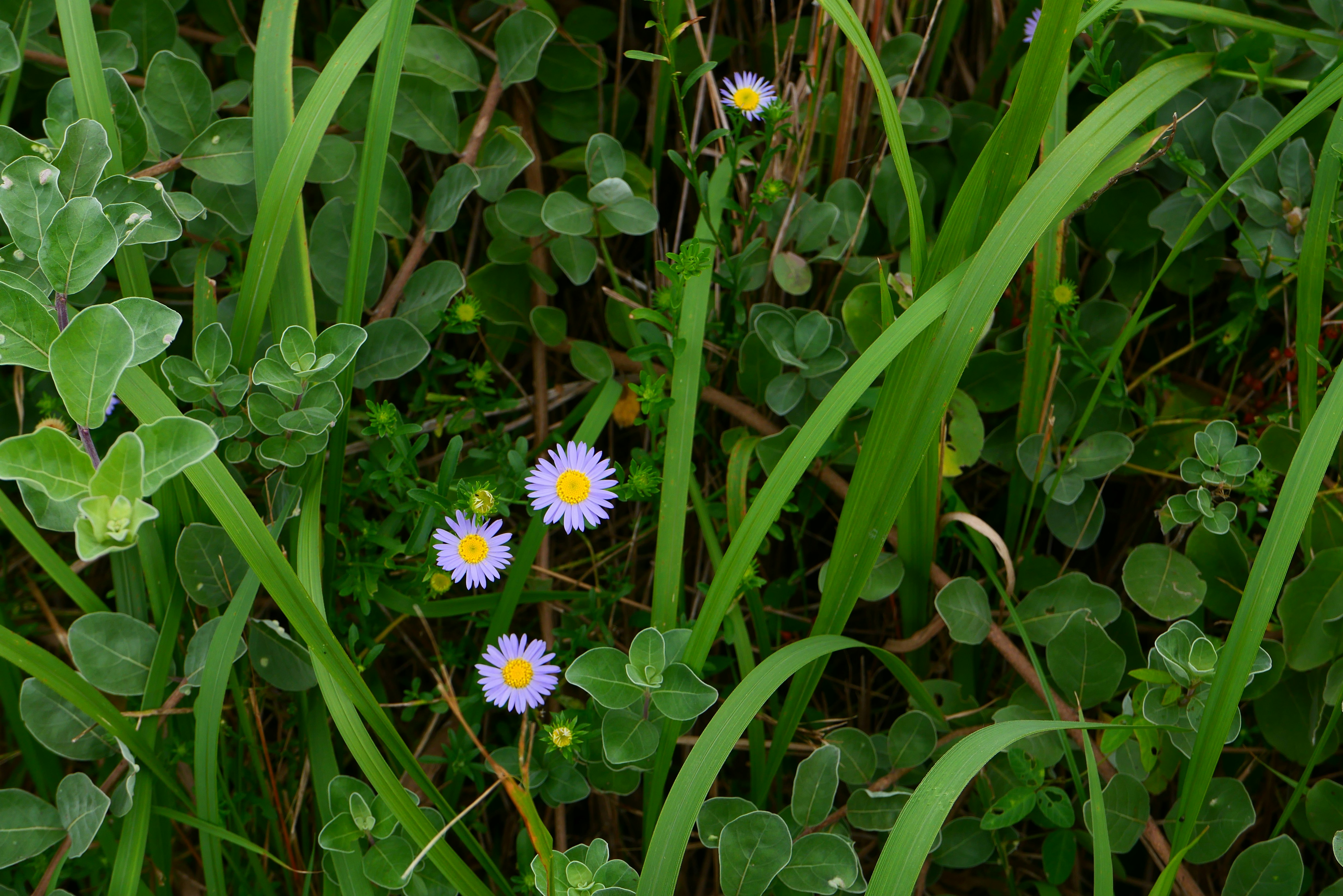 Photo by meankyungkim