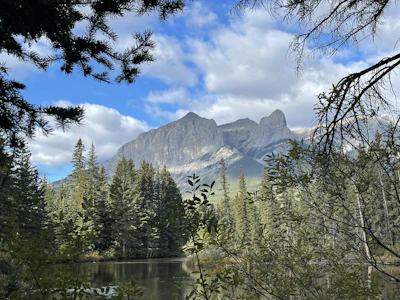 A peaceful mountain view framed by pine branches at dawn.