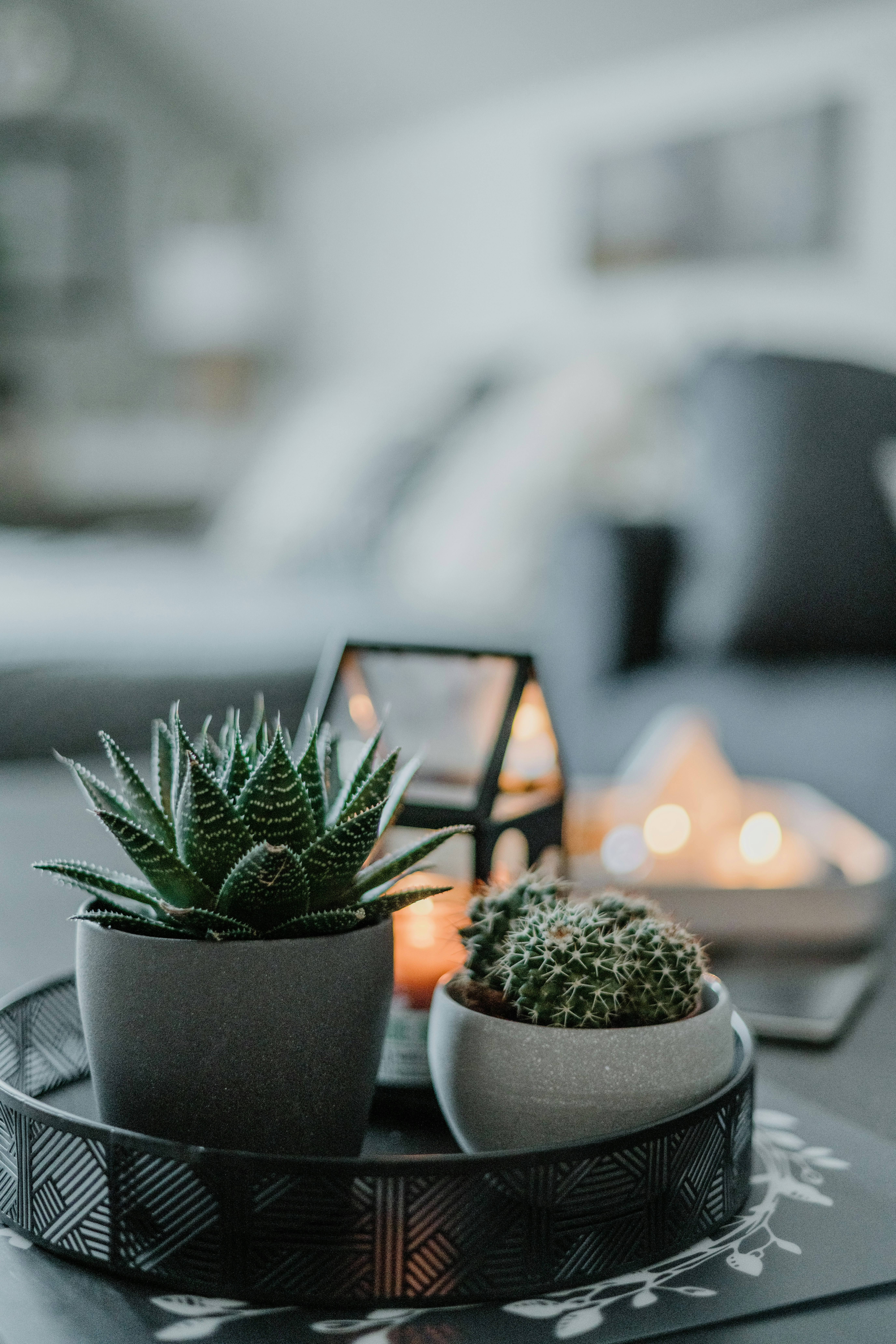 Photo by anitaaustvika