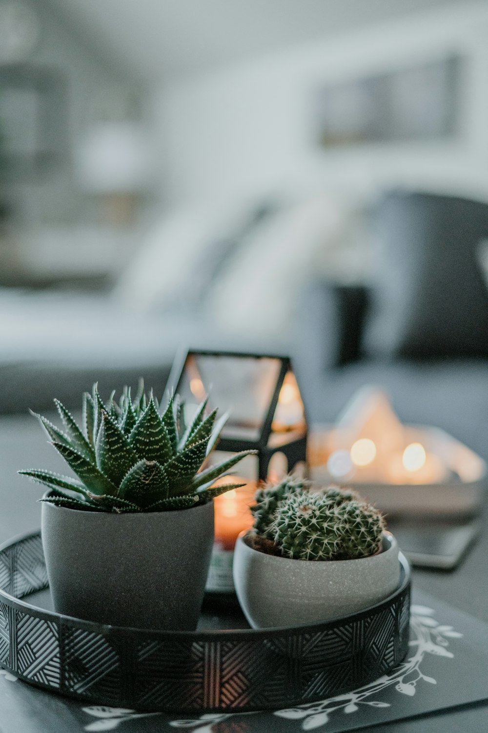 uma mesa coberta com um vaso de plantas ao lado de uma vela