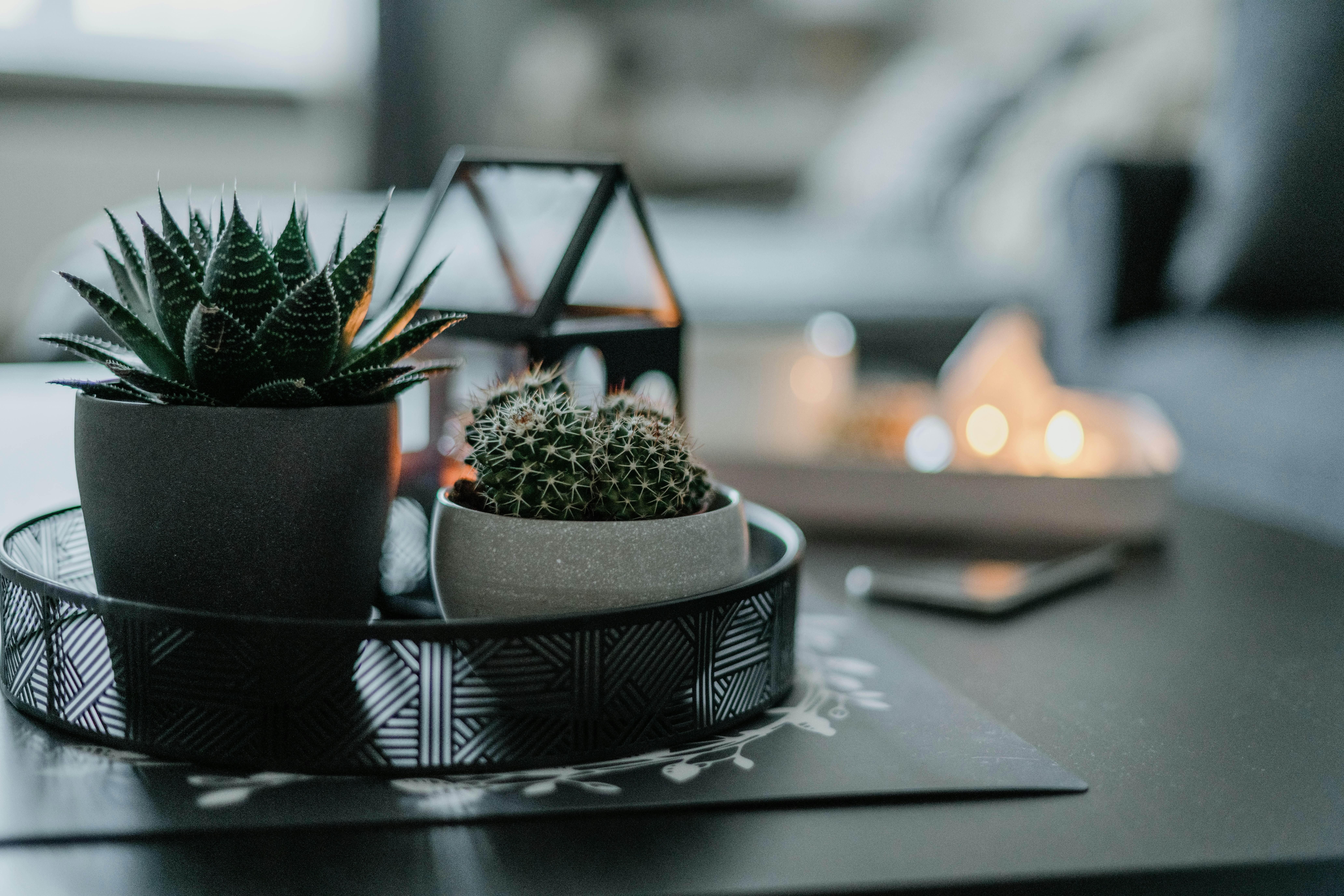 Photo by anitaaustvika