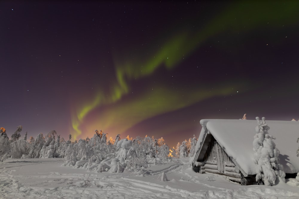 a cabin in the middle of a snowy field