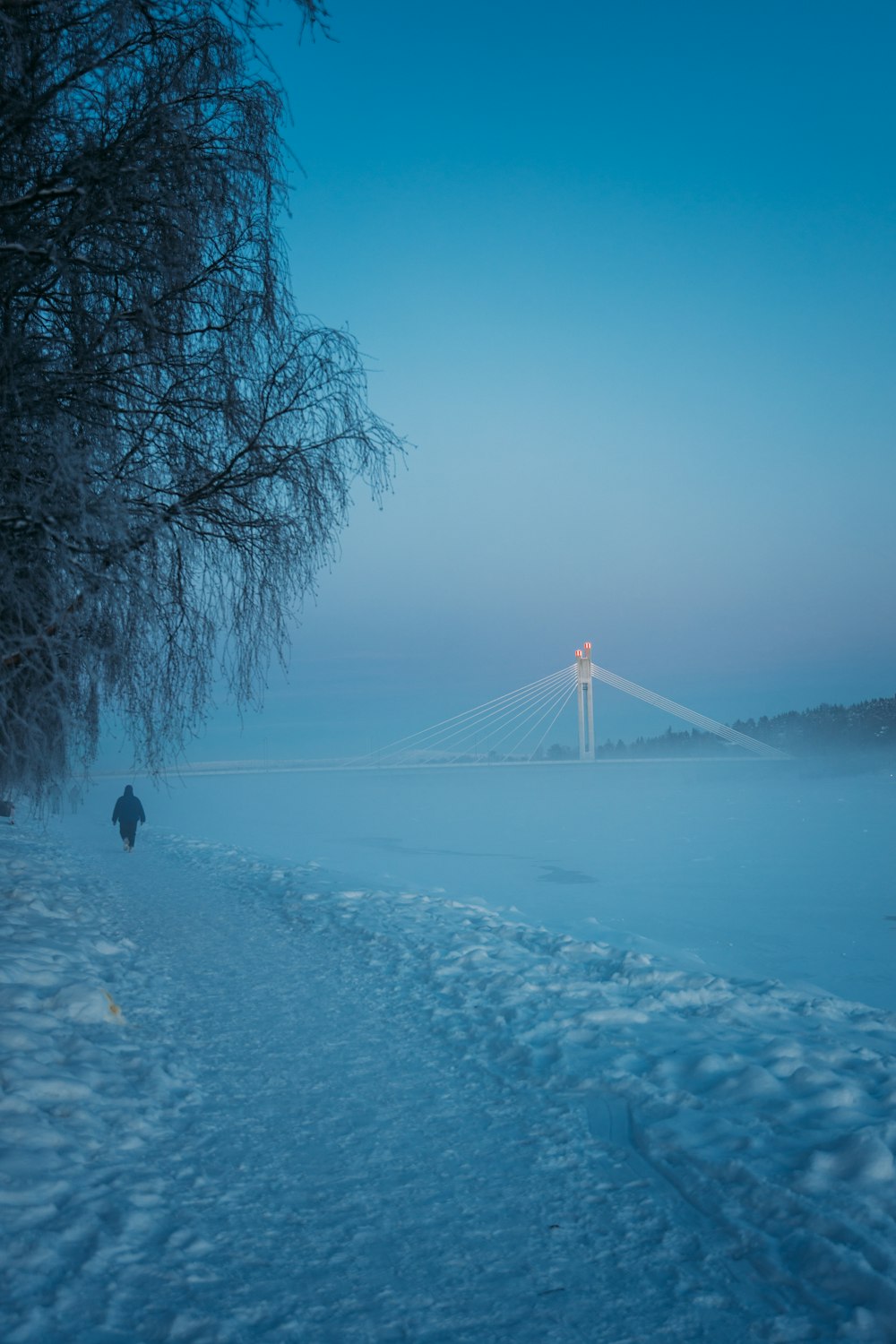 a person walking across a snow covered field