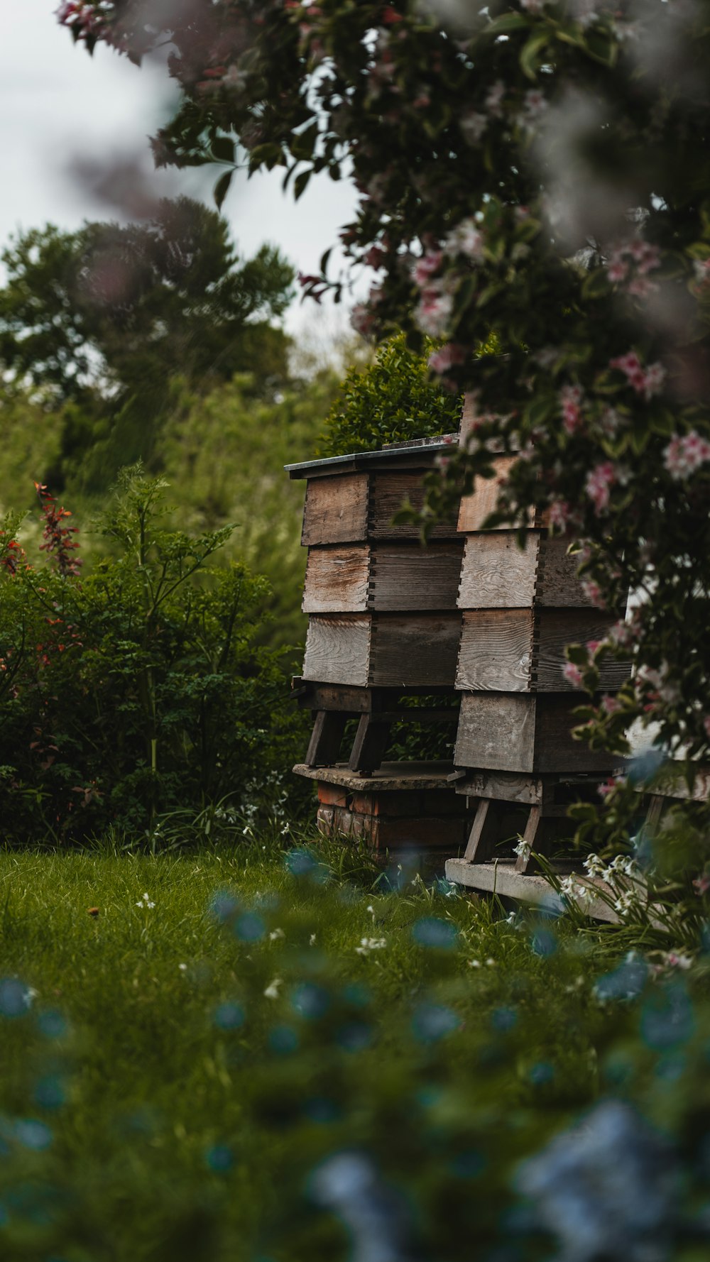 a beehive in the middle of a field of flowers