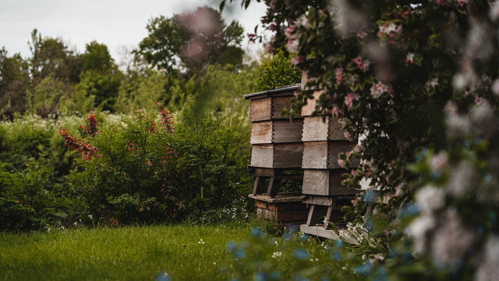 a beehive in the middle of a grassy field