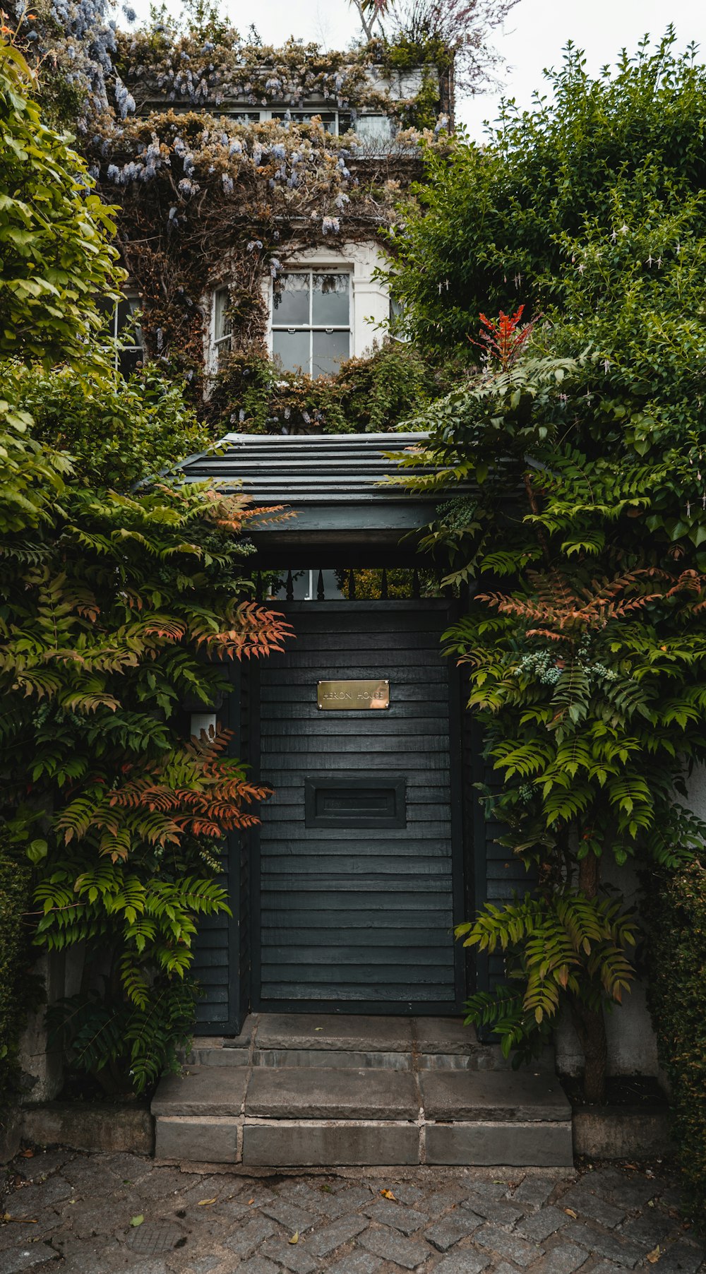 a black door surrounded by greenery in front of a house