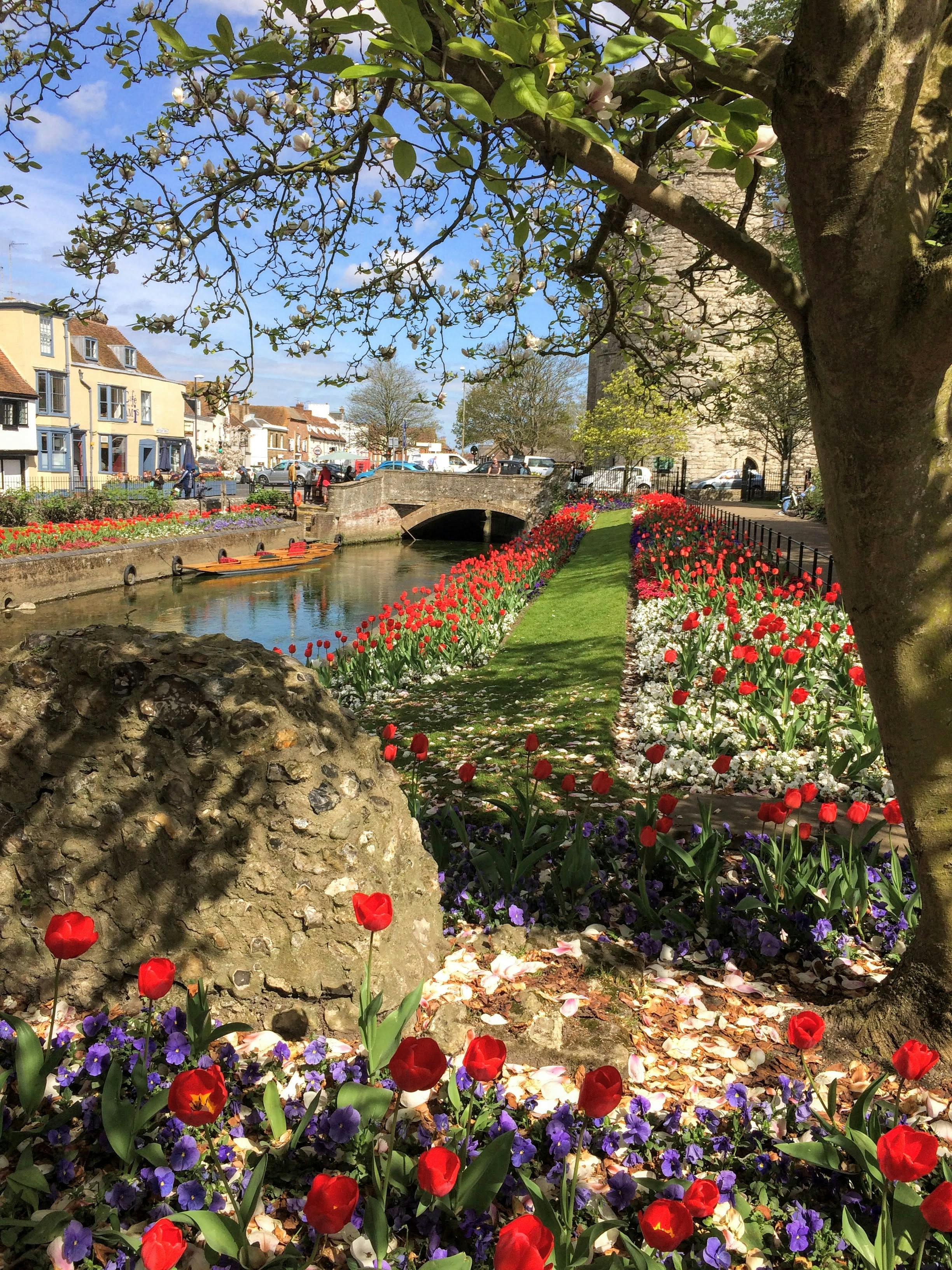 Un parco con fiori e un ponte sullo sfondo