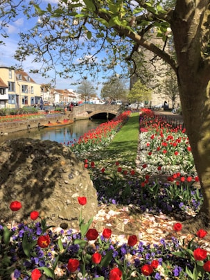 a park with flowers and a bridge in the background