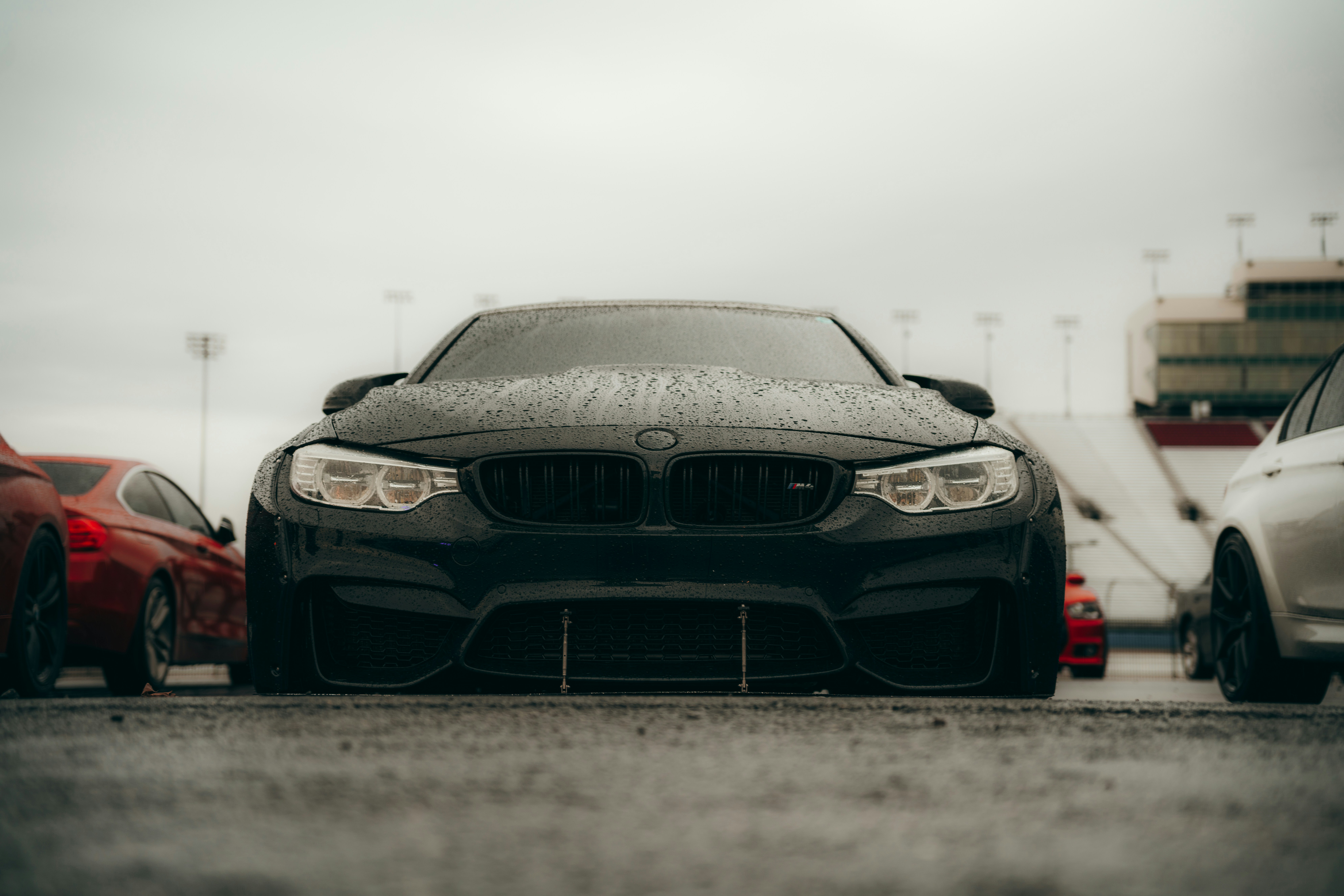 Photo by colemangloverphotography