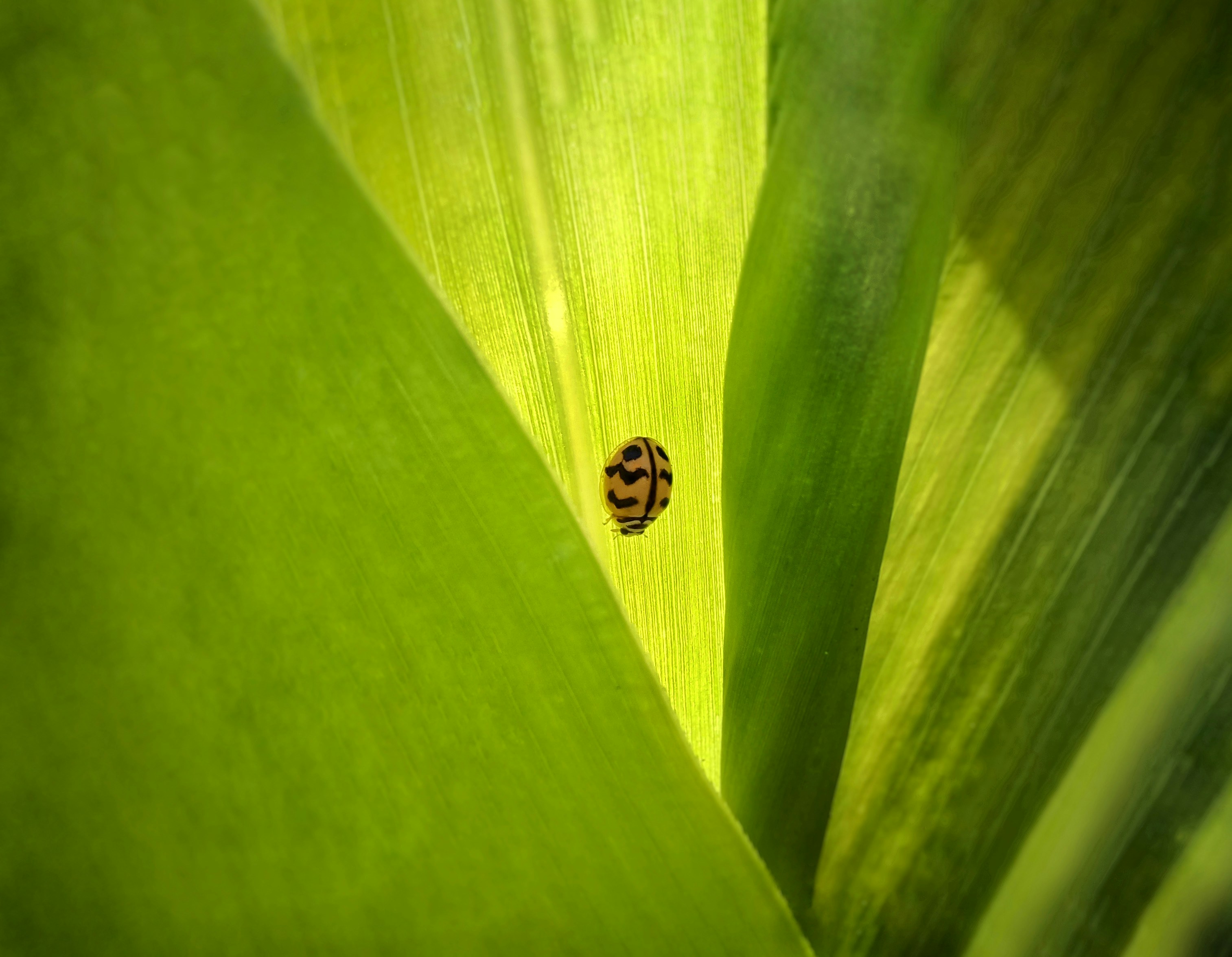 Photo by ameypimpalkar