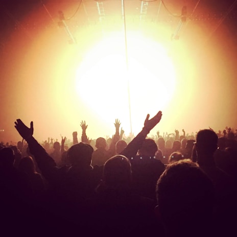 Crowd silhouetted against dark stage lights at a Crown concert, hands raised.