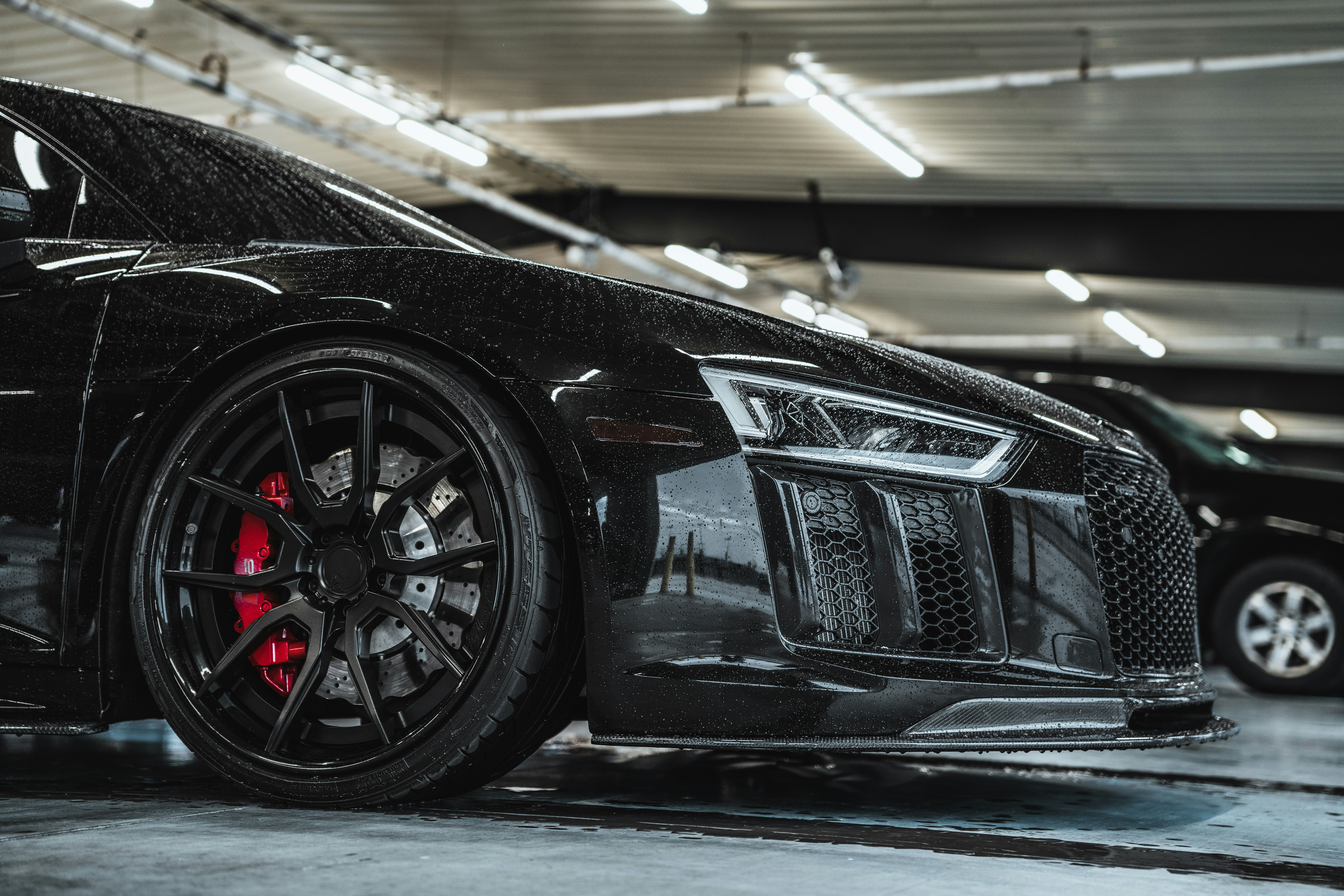 Photo by colemangloverphotography