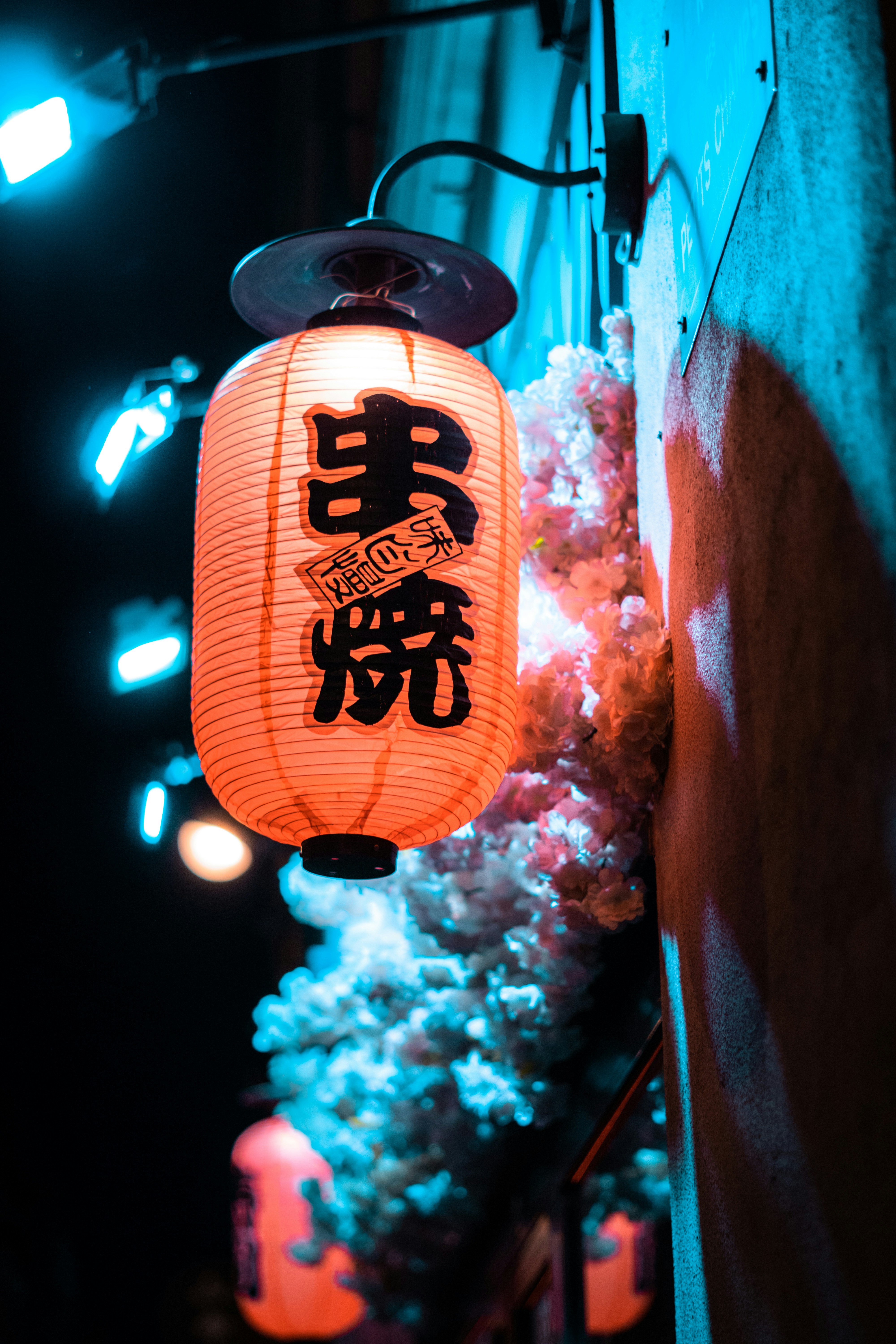 Photo by bastien_nvs