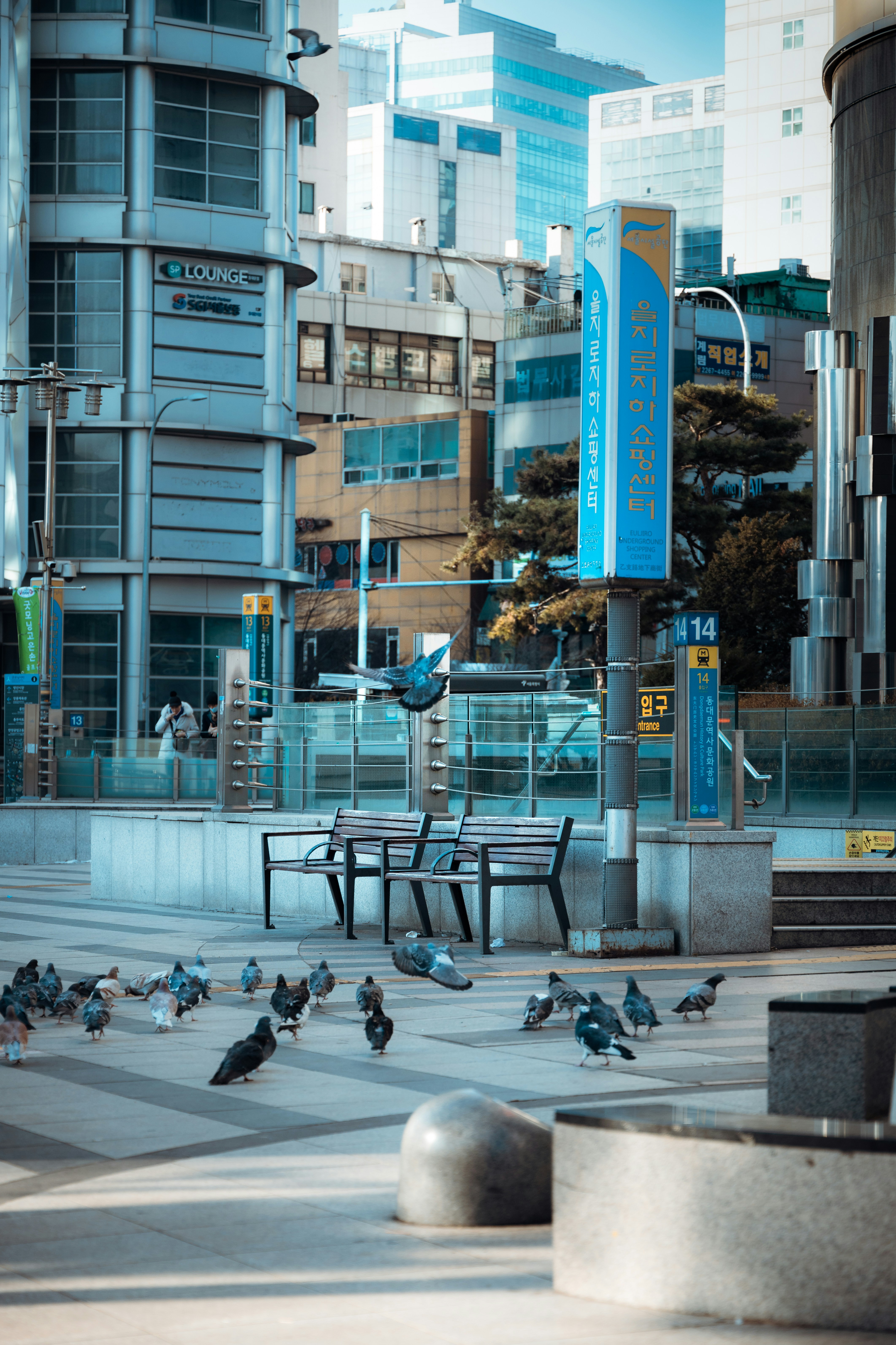 Improbable Alcatel 1T 7 in Seoul, South Korea