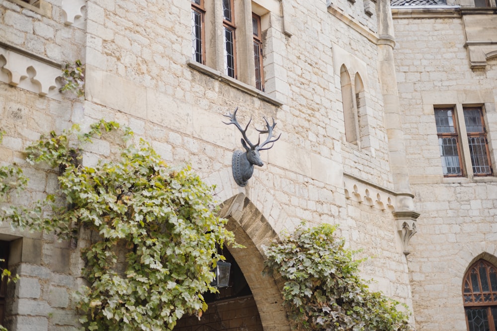 建物の側面にある鹿の像