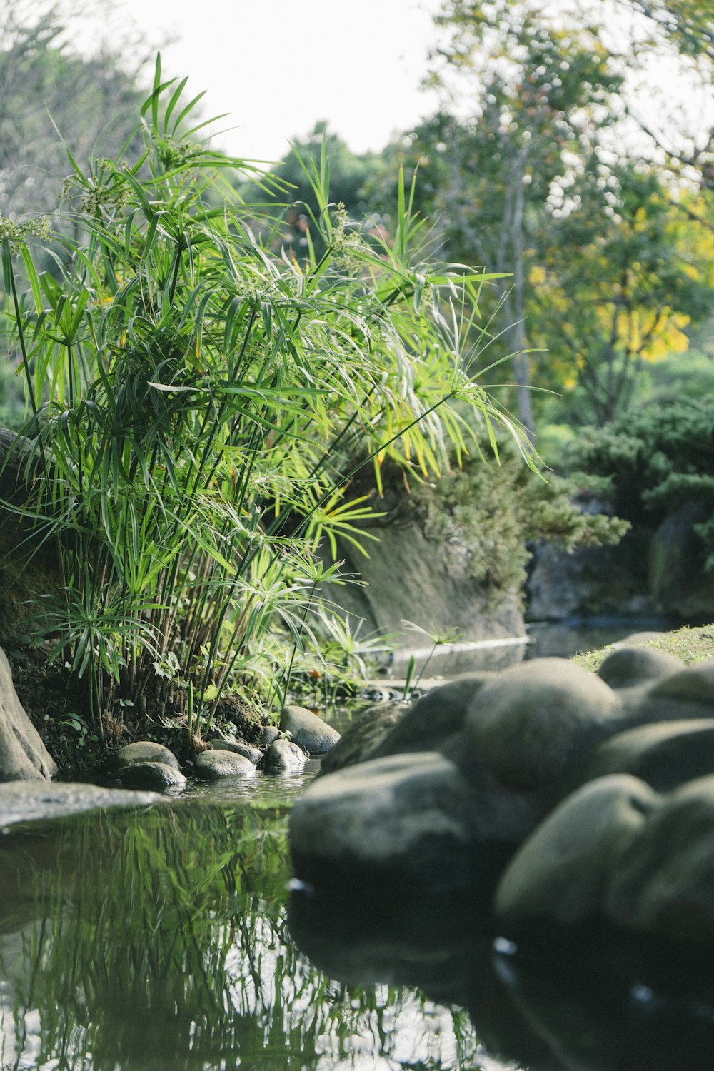 a small pond surrounded by rocks and plants