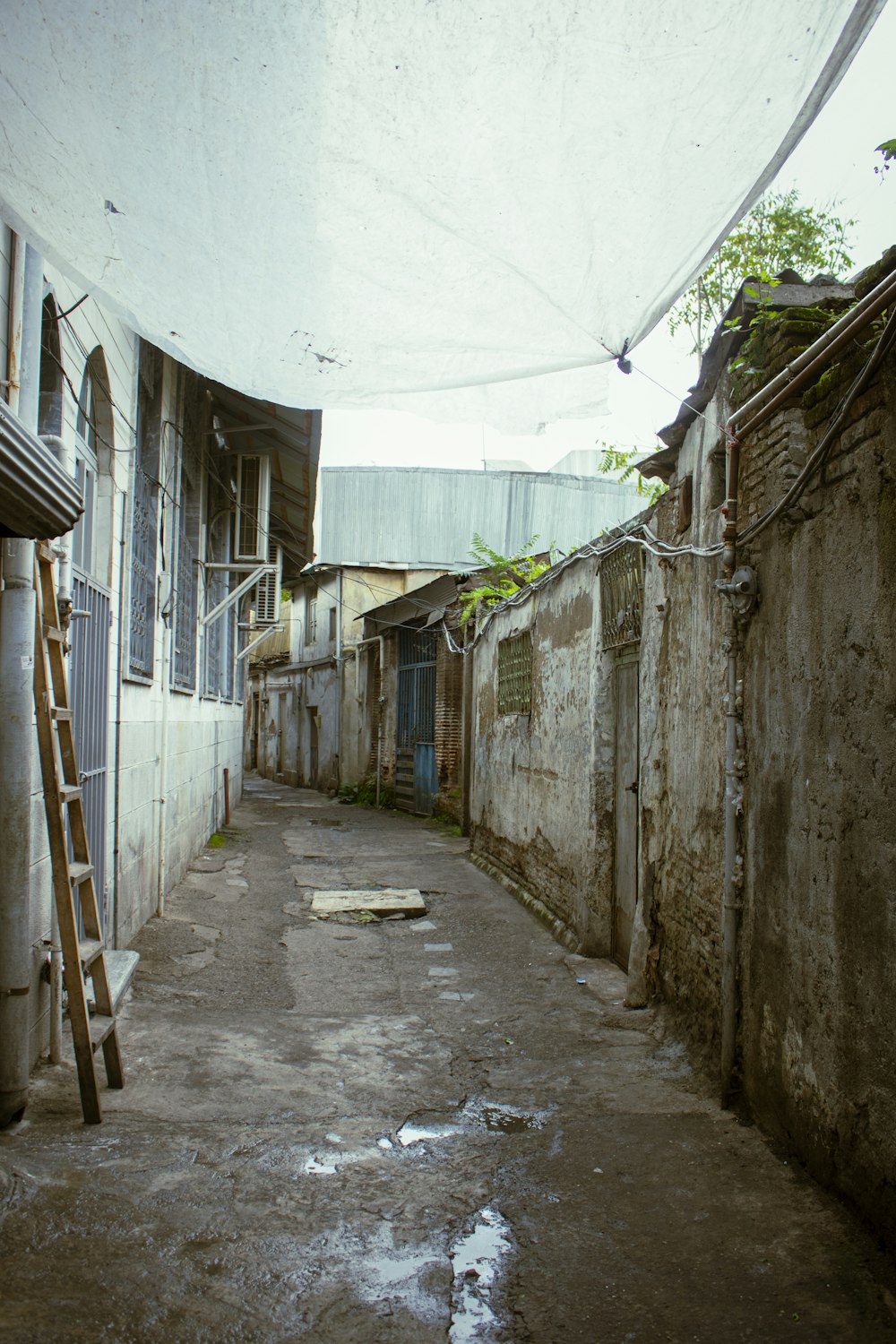 a narrow alley way with a ladder leaning against the wall