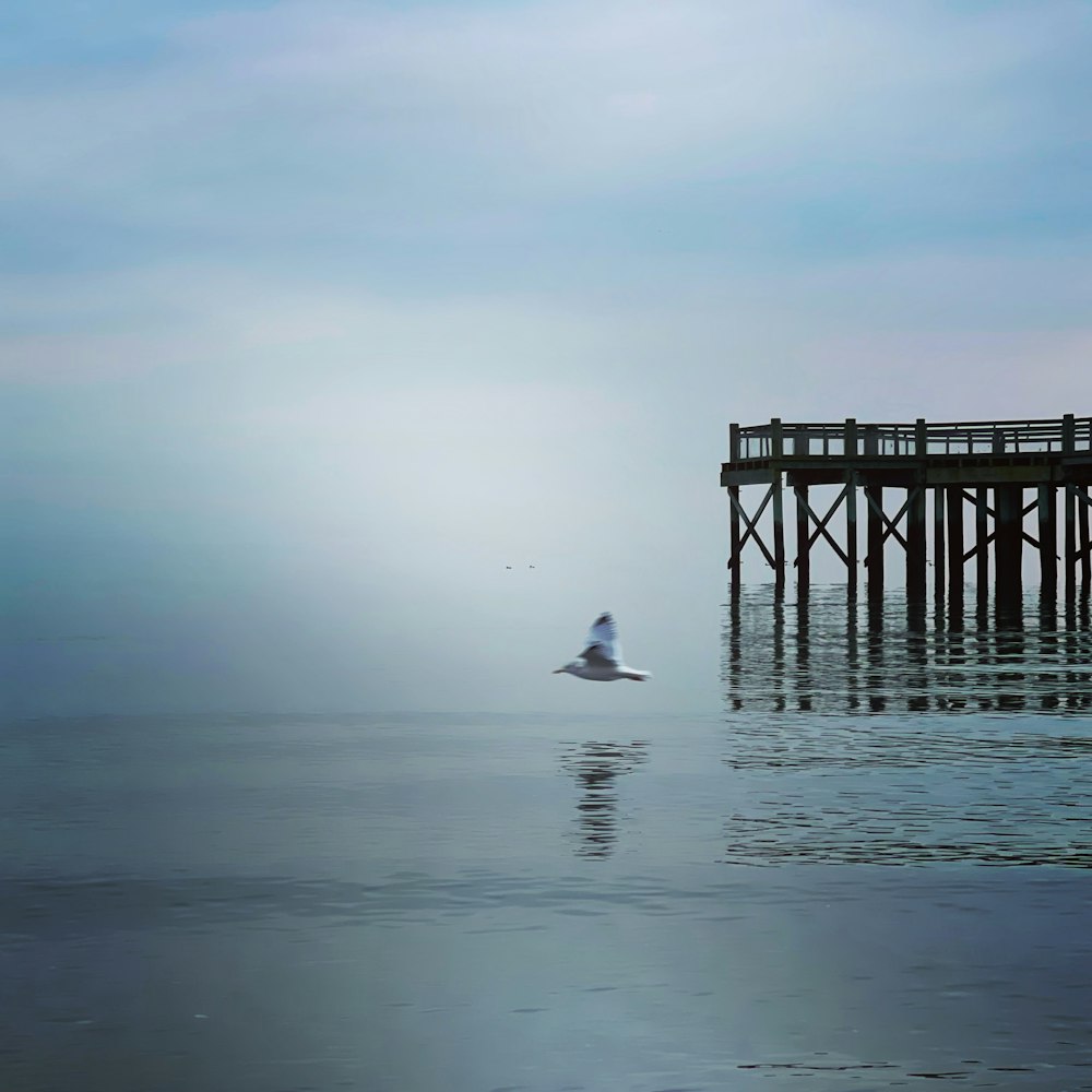 a bird flying over a body of water near a pier