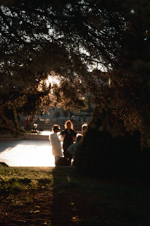 An outdoor scene with golden hour light streaming through tall trees, softly illuminating a family gathering