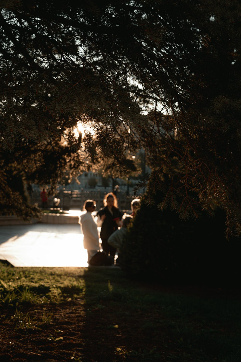 a group of people standing under a tree