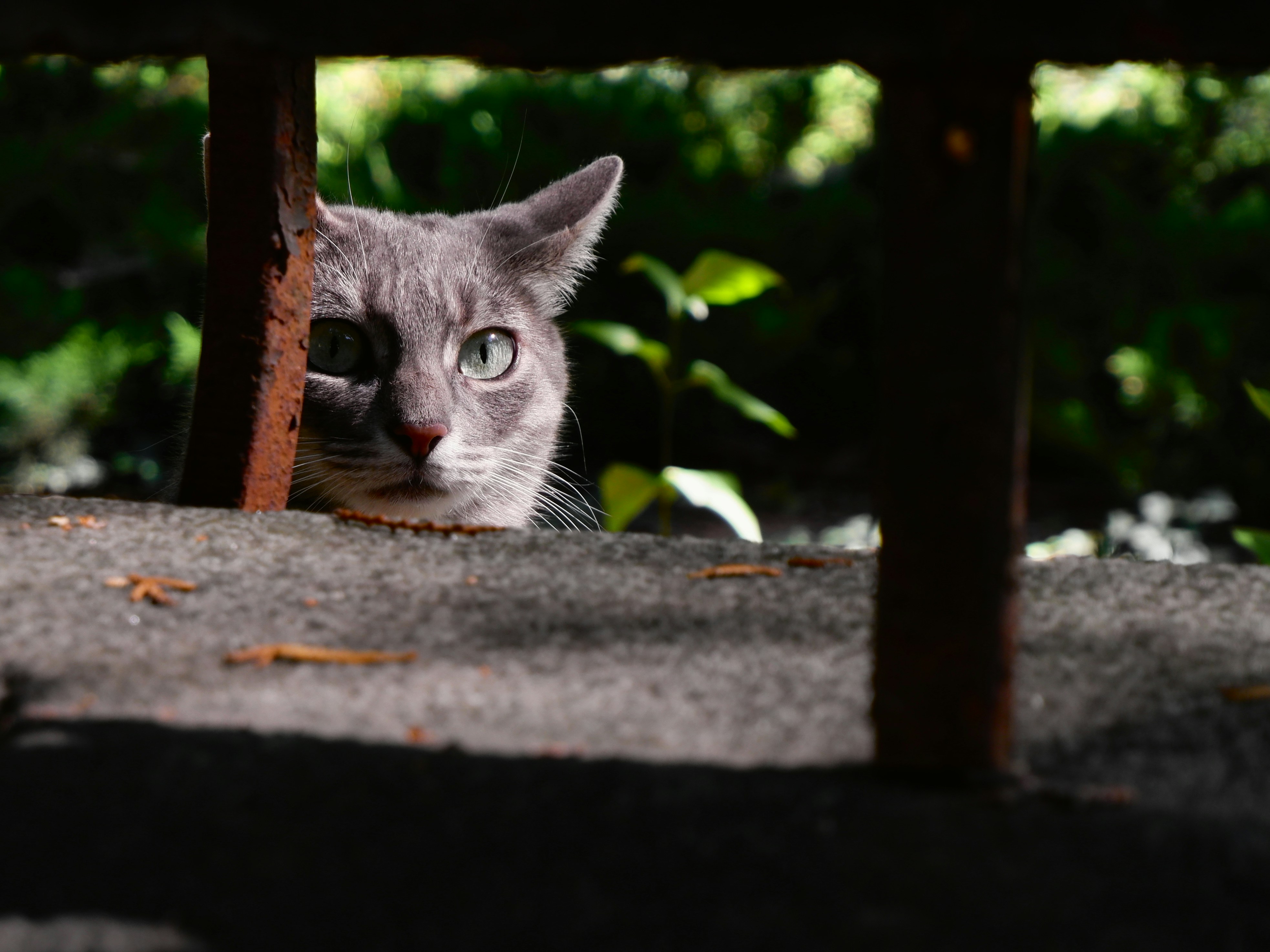 Photo by paolomandica_