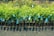 Rows of young green plants are neatly arranged in small black plastic pots. Blue tags are attached to each plant, indicating identification or information. The ground beneath is a dark, rich soil, suggesting a nursery or plantation setting.