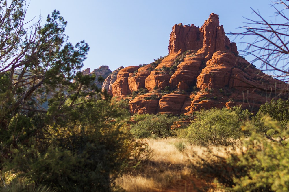 a rocky mountain with trees in the foreground