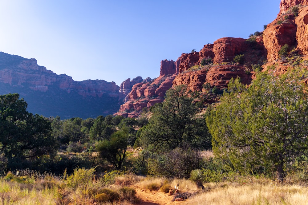 a dirt road surrounded by trees and mountains