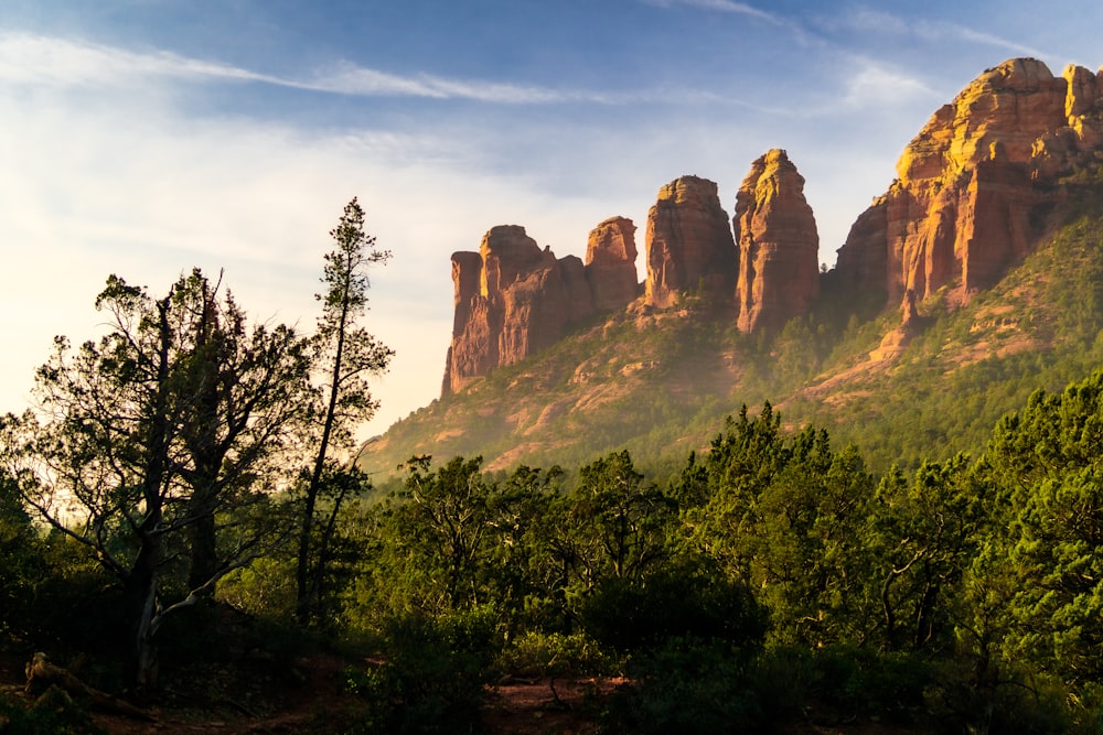 a mountain range with trees and rocks in the foreground