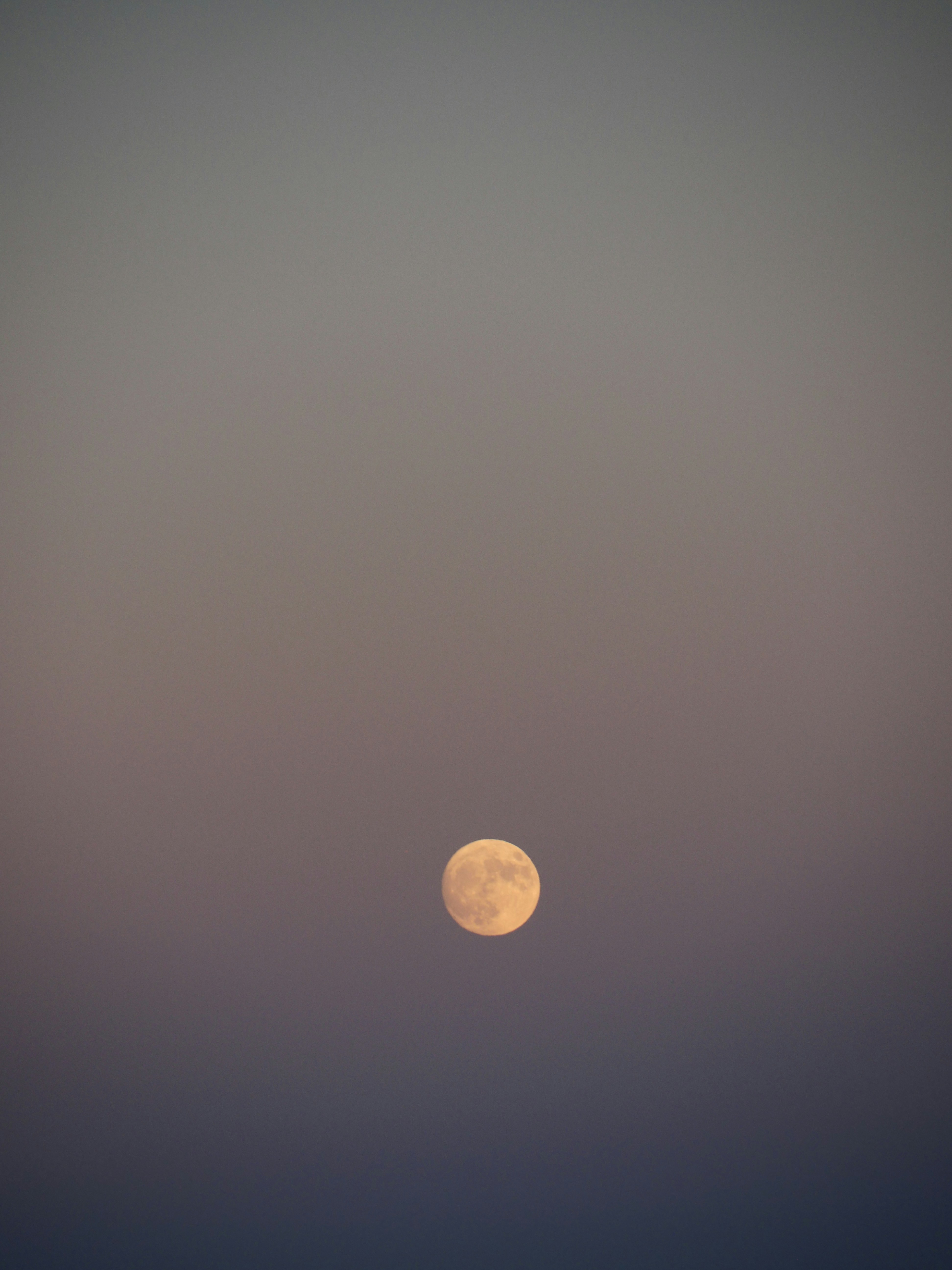 Photo by nimbus_vulpis