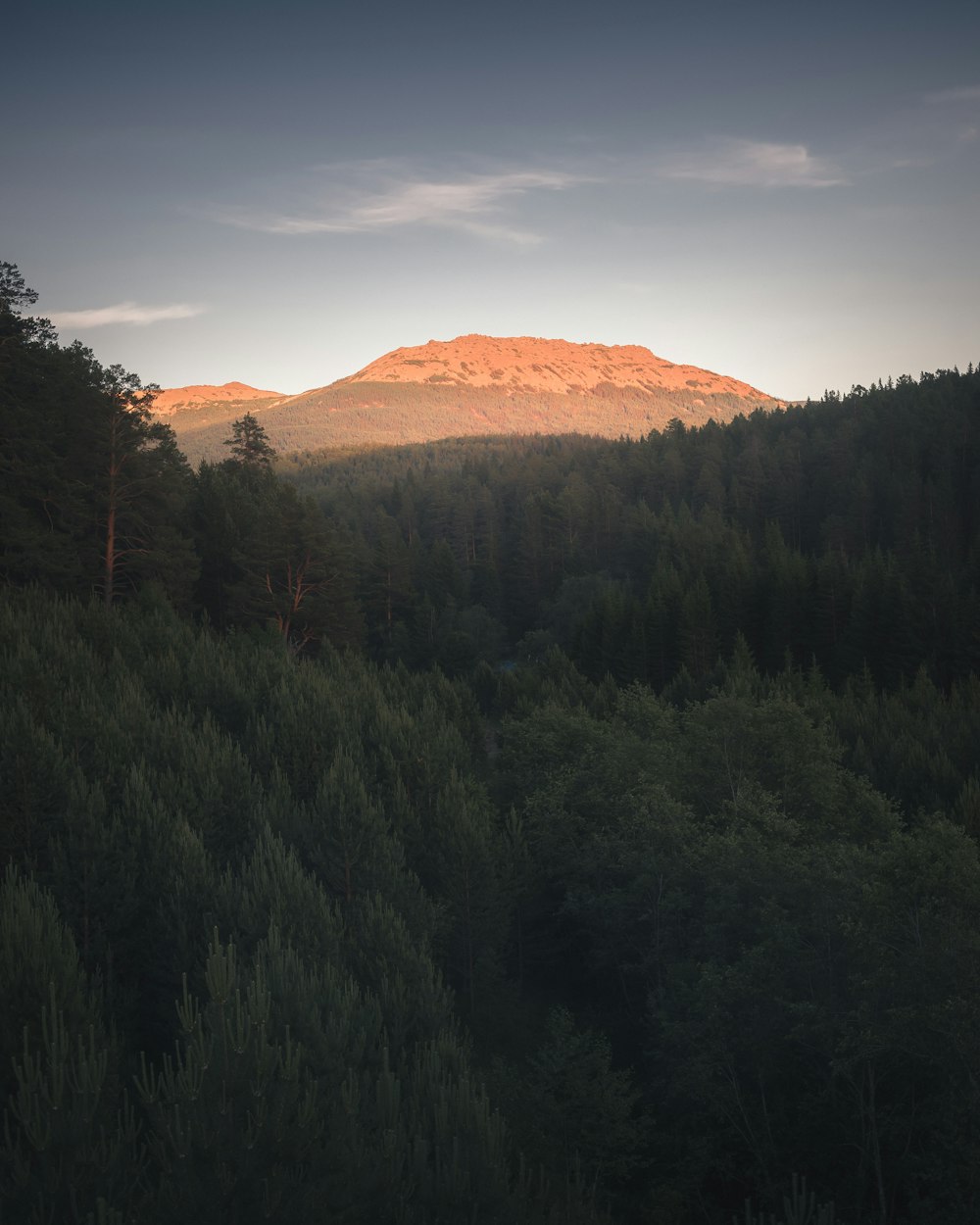 a view of a mountain with trees in the foreground