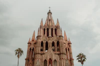 Best Pet-Friendly Cafes in San Miguel de Allende Where Your Dog Is as Welcome as You