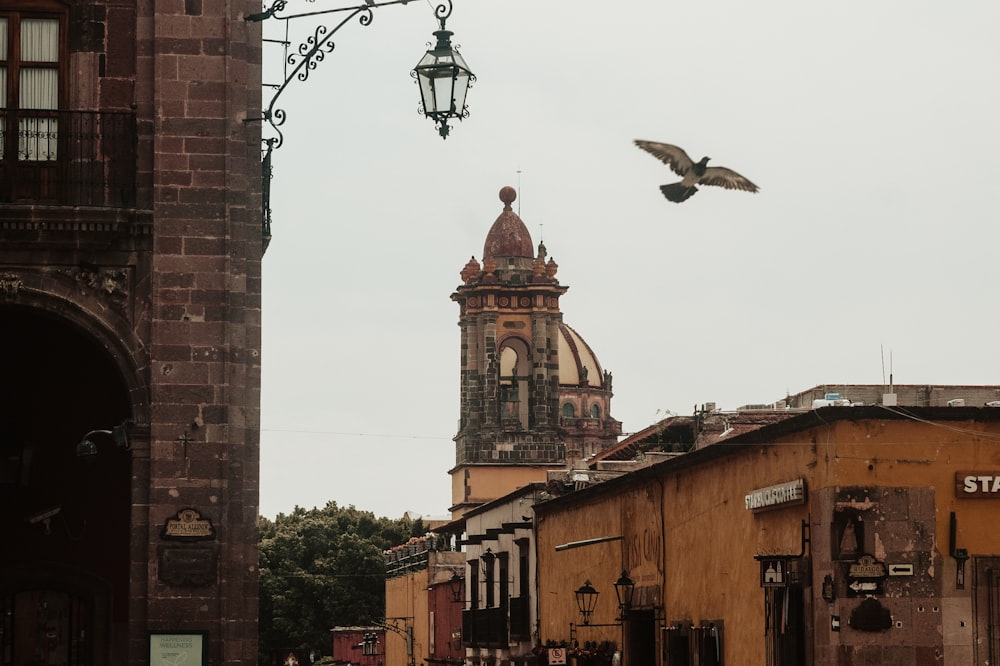 a bird flying over a street next to a tall building