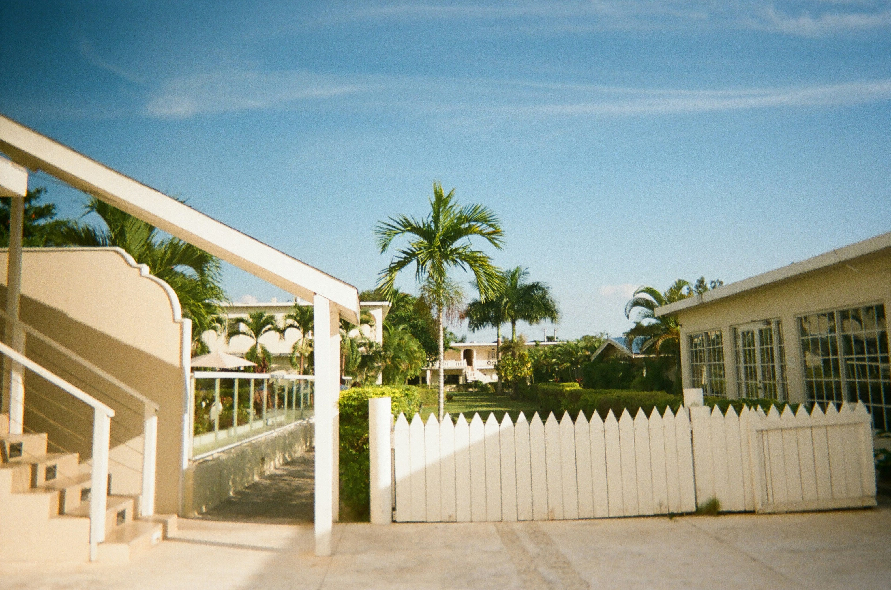 A house with a white picket fence and palm trees photo Free Jamaica