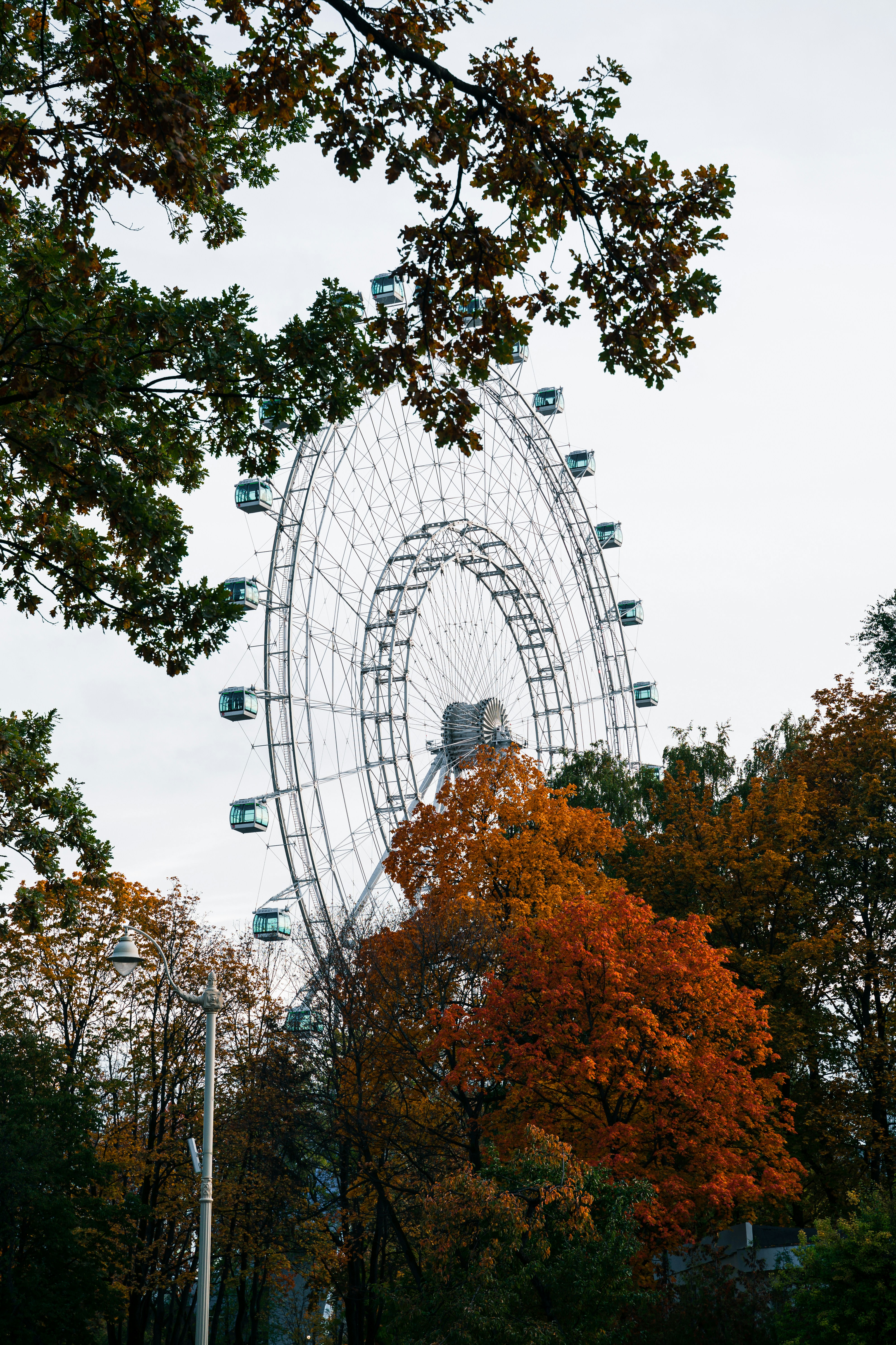 uma grande roda gigante no meio de um parque