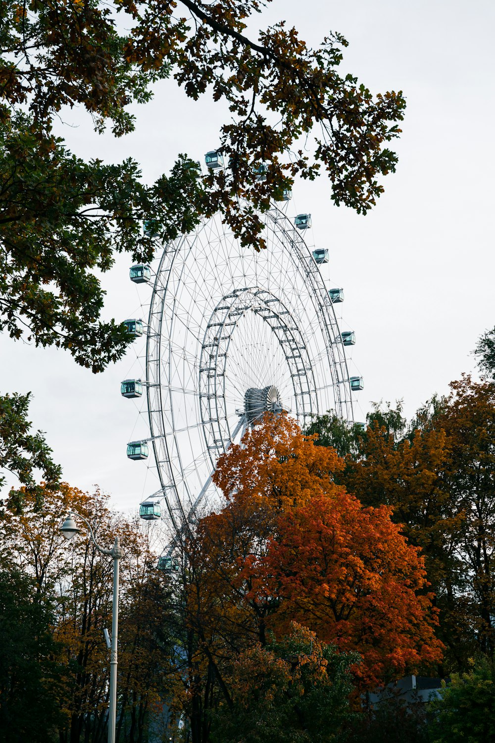 Una grande ruota panoramica nel mezzo di un parco