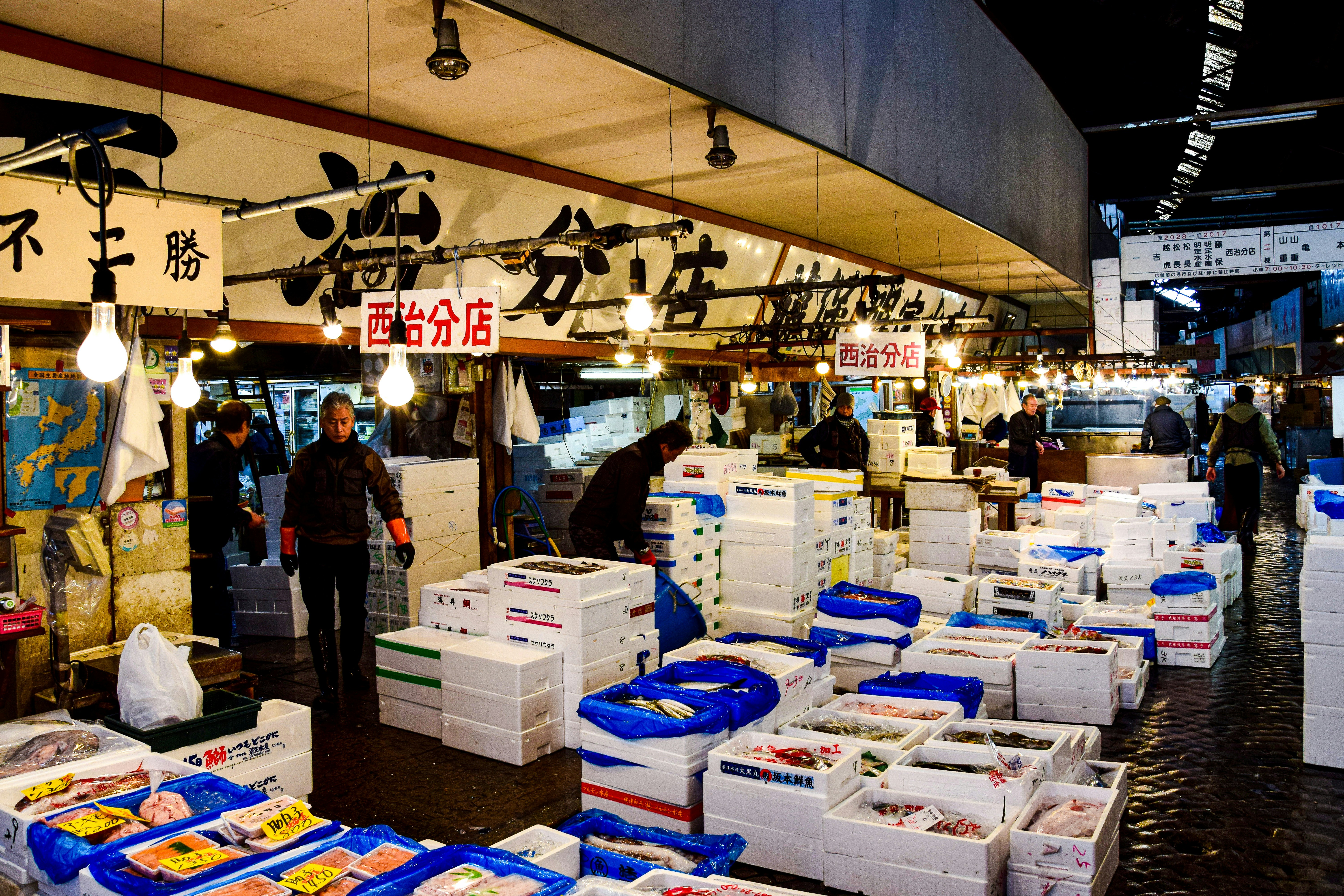 Osaka Central Fish Market photo 2