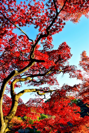 A vibrant family tree illustration showcasing connections and history.