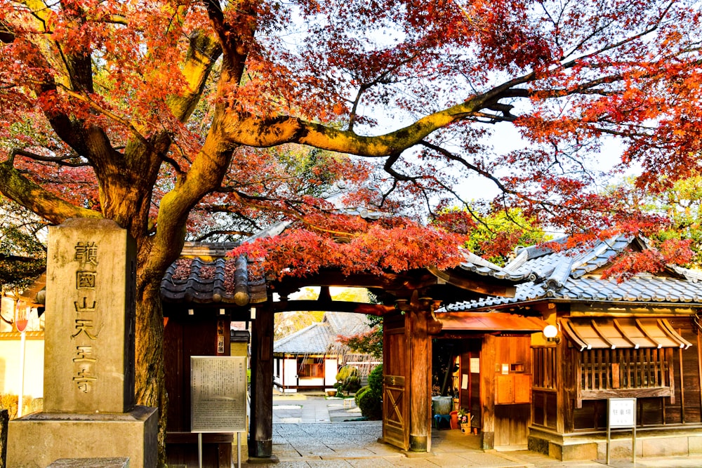 a tree with red leaves in front of a building