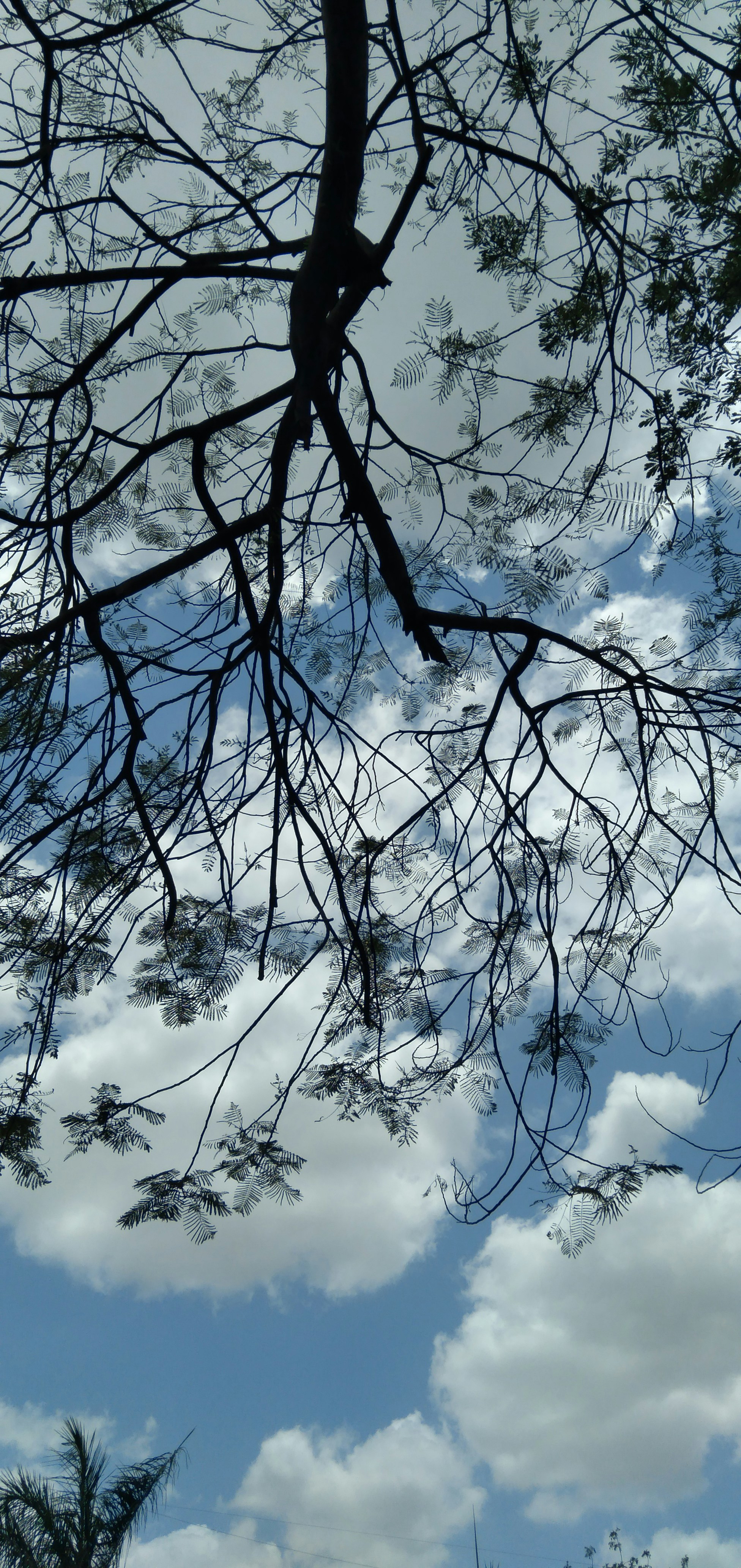 photo-1673372905025-fa03546b976d?ixid=M3wxMjA3fDB8MXxzZWFyY2h8MTZ8fGJlc3QlMjB0YW5rJTIwY2xlYW5pbmclMjBzZXJ2aWNlcyUyMGluJTIwZ3VqYXJhdHxlbnwwfHx8fDE3MzY0MDUyODZ8MA\u0026ixlib=rb-4.0.3