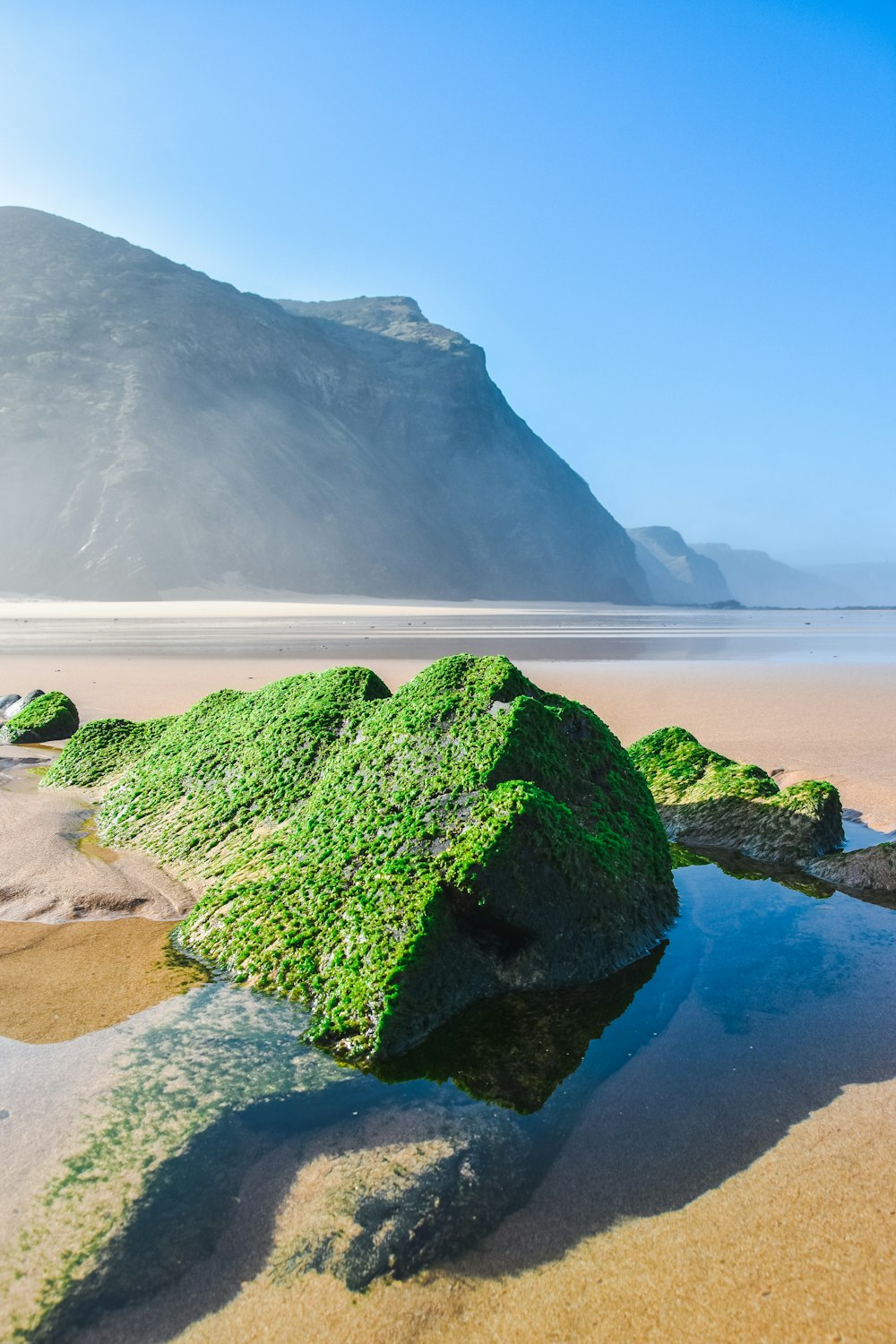 Un rocher couvert d’algues vertes sur une plage